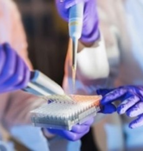 Oamenii de știință care lucrează într-un laborator ținând o pipetă în timp ce umplu eprubete